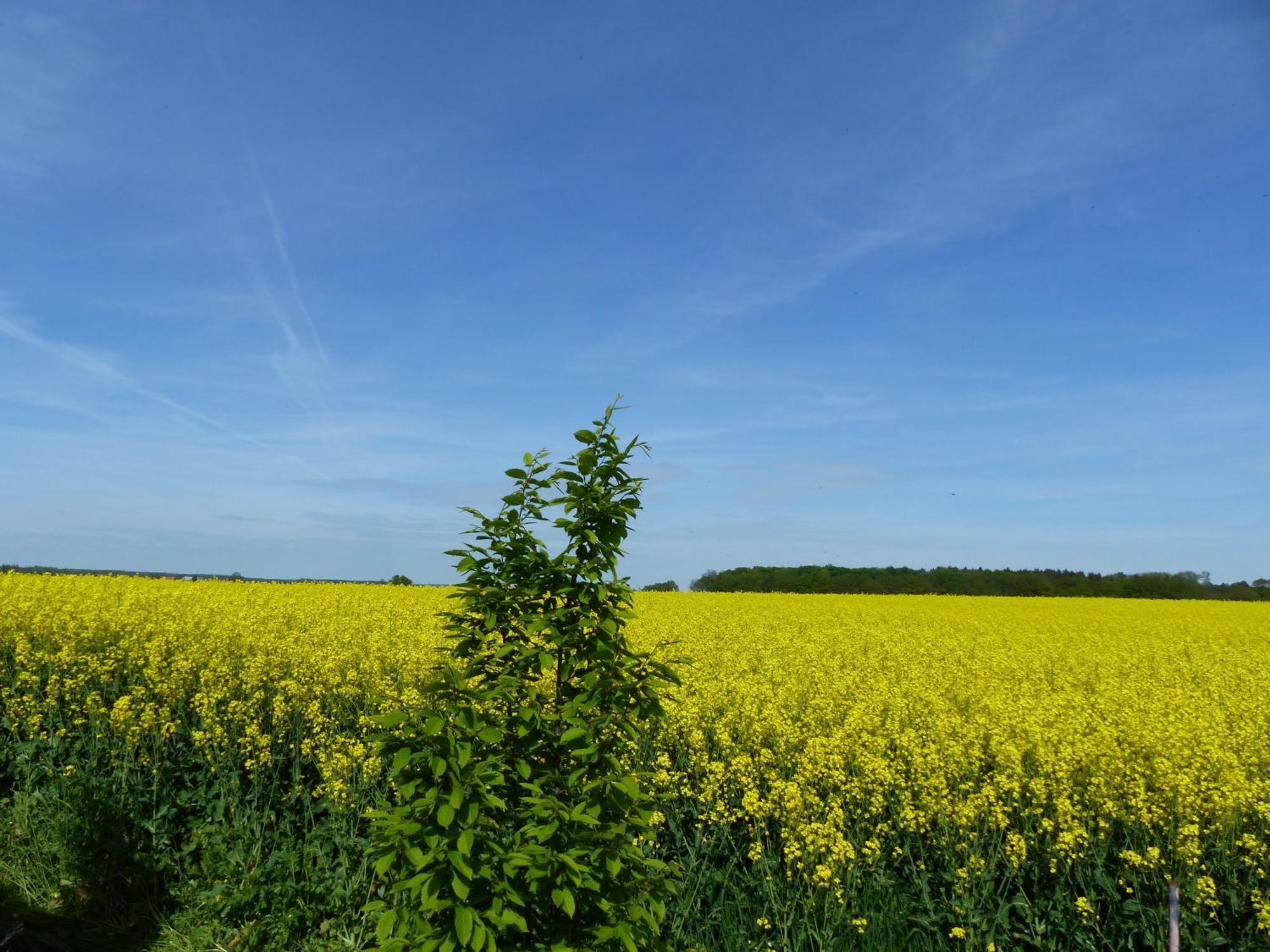 Hof Sorgenlos Gross Gievitz ภายนอก รูปภาพ