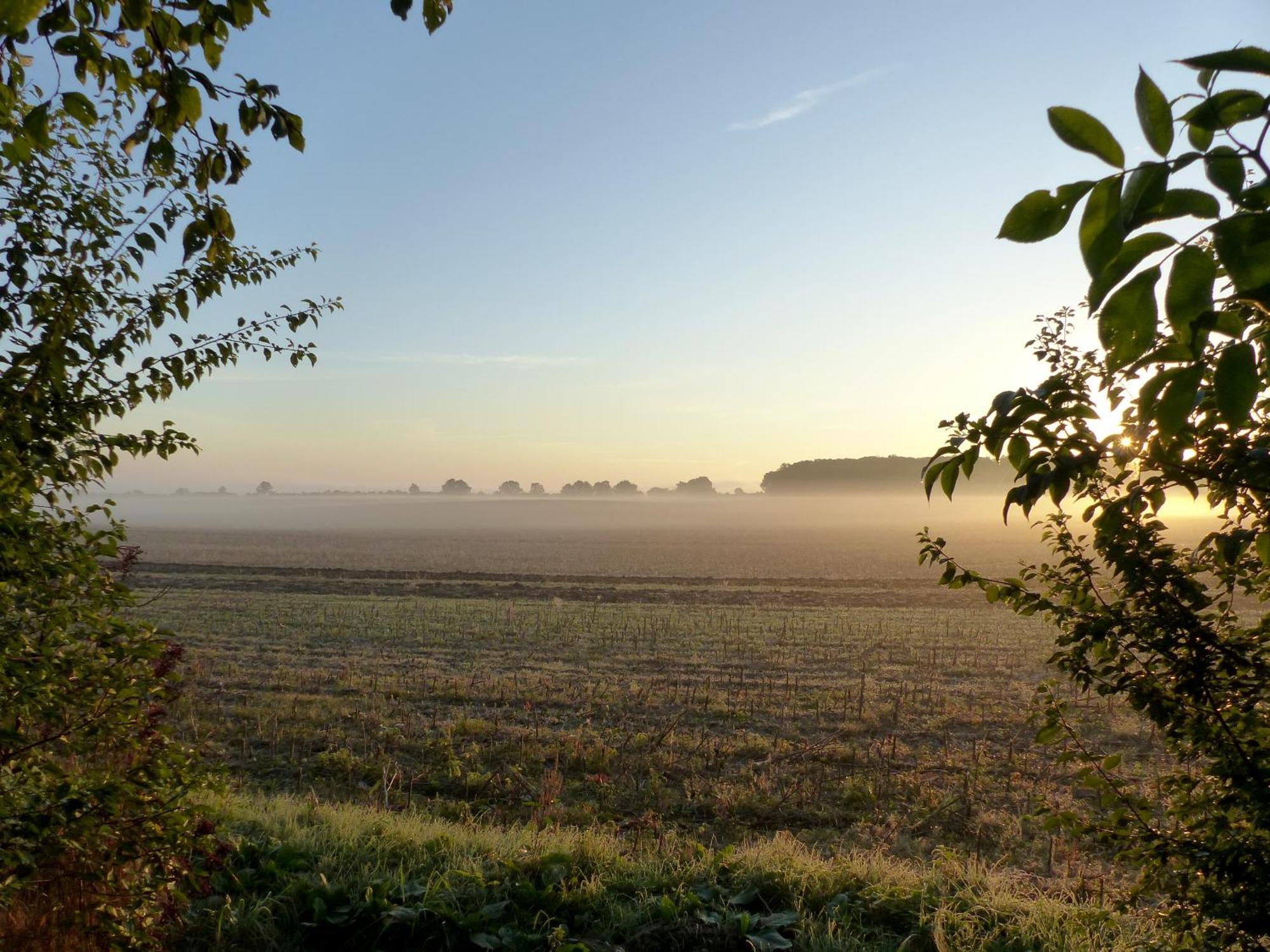 Hof Sorgenlos Gross Gievitz ภายนอก รูปภาพ