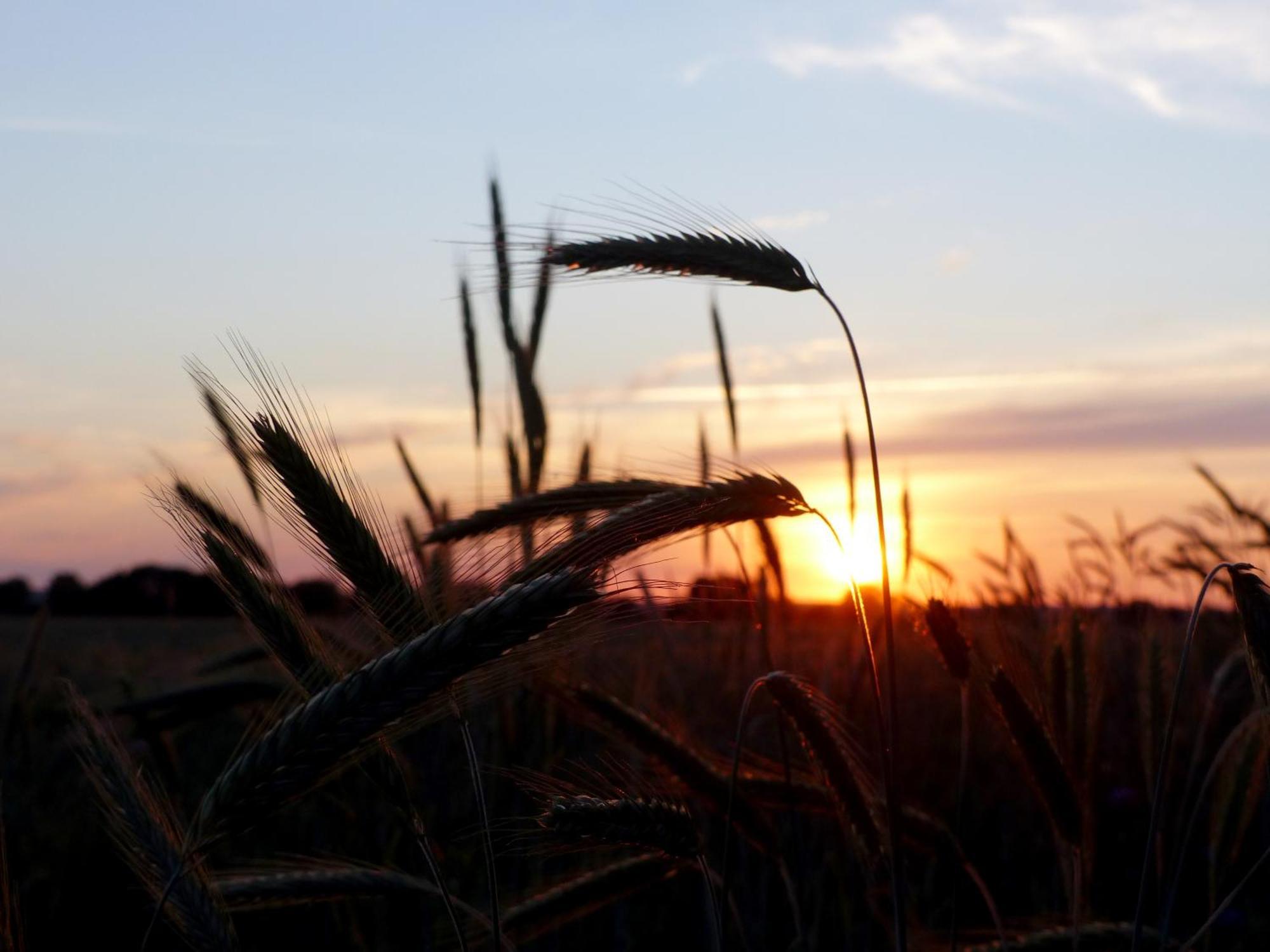 Hof Sorgenlos Gross Gievitz ภายนอก รูปภาพ