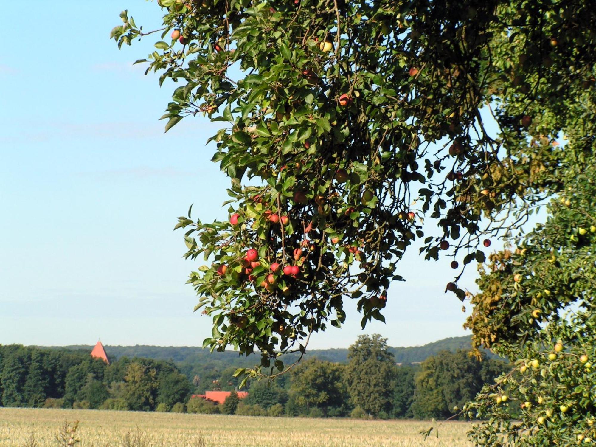 Hof Sorgenlos Gross Gievitz ภายนอก รูปภาพ