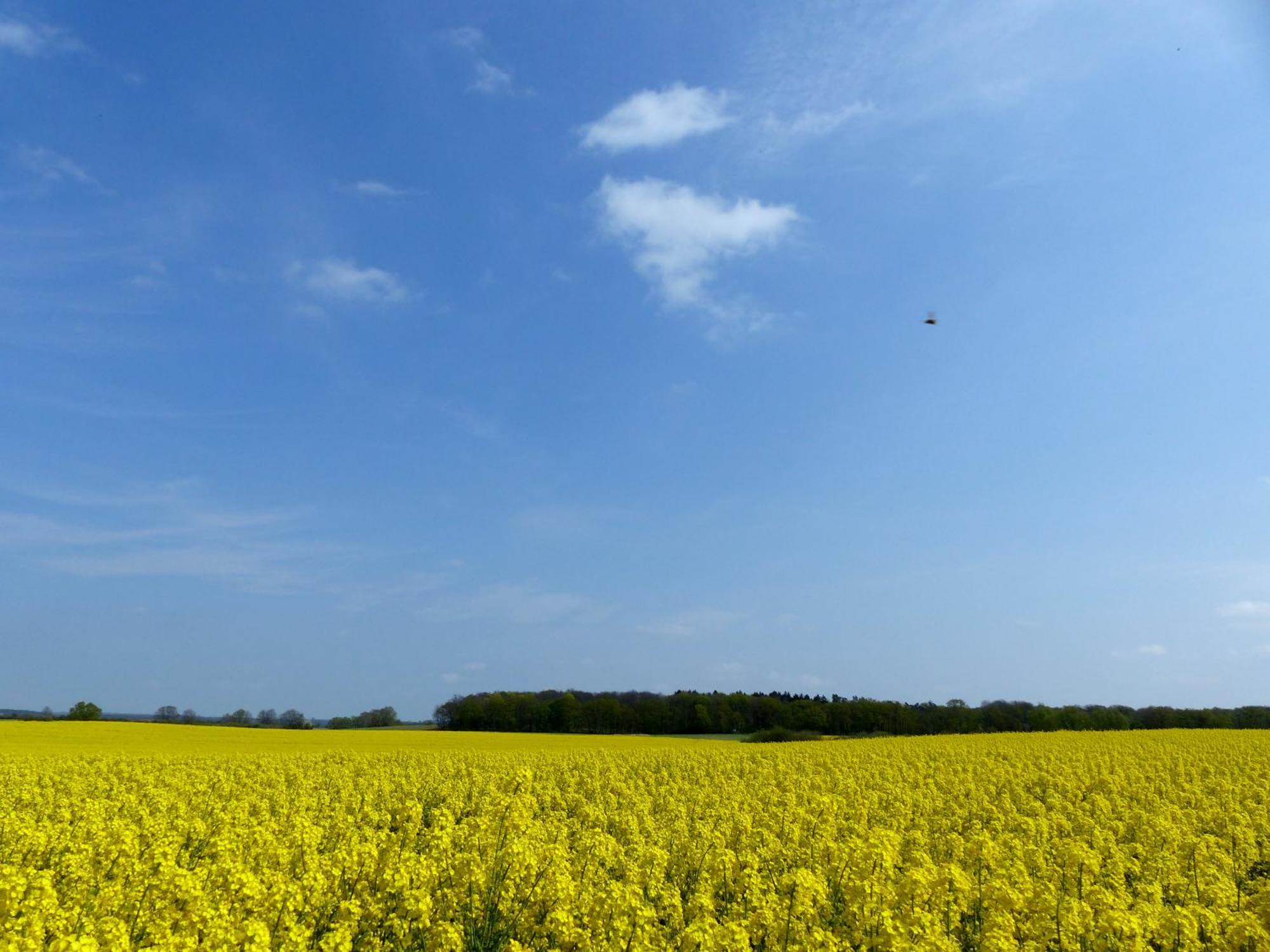 Hof Sorgenlos Gross Gievitz ภายนอก รูปภาพ